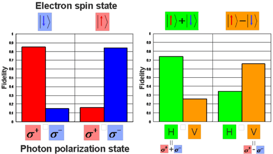 Phase dependence of detection probability as a function of photon and electron-spin polarizations